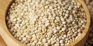 Quinoa White Seeds