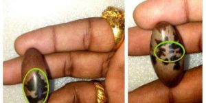 Om Narmadeshwar Shivling