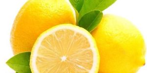 Fresh Lemon