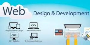 Web Development Training