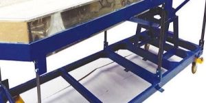 Trinic Sorter Machine