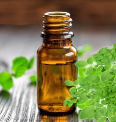 Moringa Oil