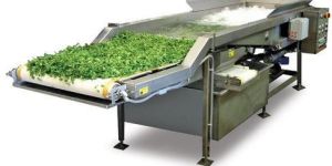 Fruit Washing Machine