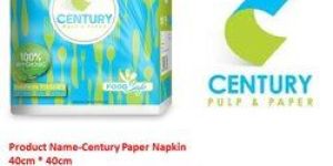 White Paper Napkin Tissue
