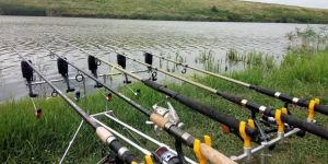 Carp Fishing Swinger