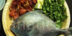 Fresh Black Pomfret Fish