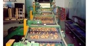 Post Harvest Process Plants