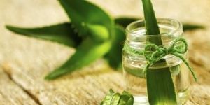 Aloe Vera Gel