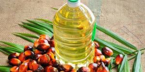 Palm Oil