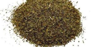 Dried Tulsi Leaves Extract