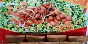 Sprouted Multigrain Flour