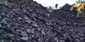 Steam Coal