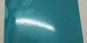 Hospital File Folder