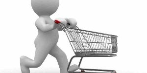 Ecommerce Web Development Services