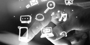 Web Development Services