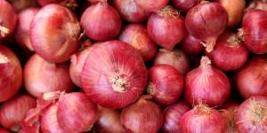 Fresh Red Onion