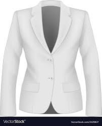 Ladies Business Suit