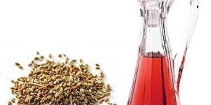 Ajwain Oil