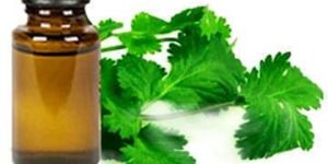 Coriander Oil