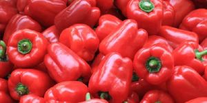 Fresh Red Capsicum
