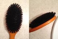 Bristle Brush
