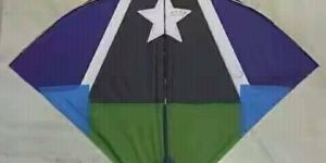 Pona Kites