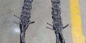 Braided Wire Rope Slings