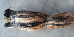 Natural Cattle Tail Hair Dressed.