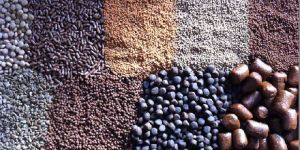 Aqua Feed Supplement/functional application