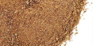 Ajwain Seed Extract