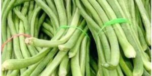 Long Beans
