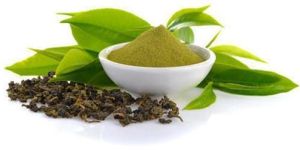 Green Tea Extract