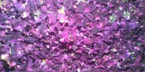 Dry Rose Petals