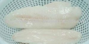 Frozen Fishes