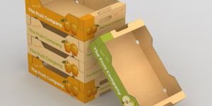 Fruit Packaging Boxes