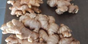 Fresh Ginger