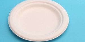 Bagasse Disposable Plate