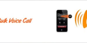 Bulk Voice Call Services