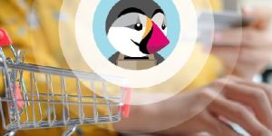 Presta Shop Web Development Services