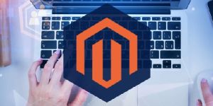 Shopify Theme Design Services