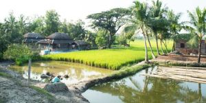 Sunderbans Jungle Camp Tour Package