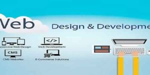 Website Design & Development