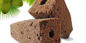 Coco Peat Grow Plug