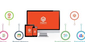 Magento E-Commerce Development