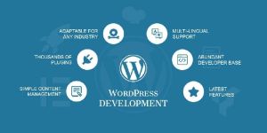 Wordpress Website Development