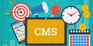Cms Web Development Services