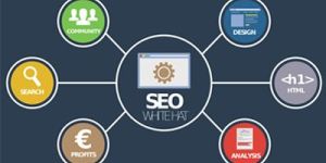 Search Engine Optimization Services