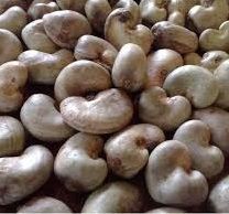 Raw Cashew Nuts