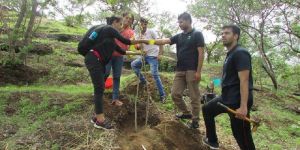 Tree Plantation Services