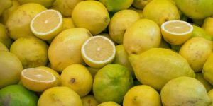 Seedless Lemons